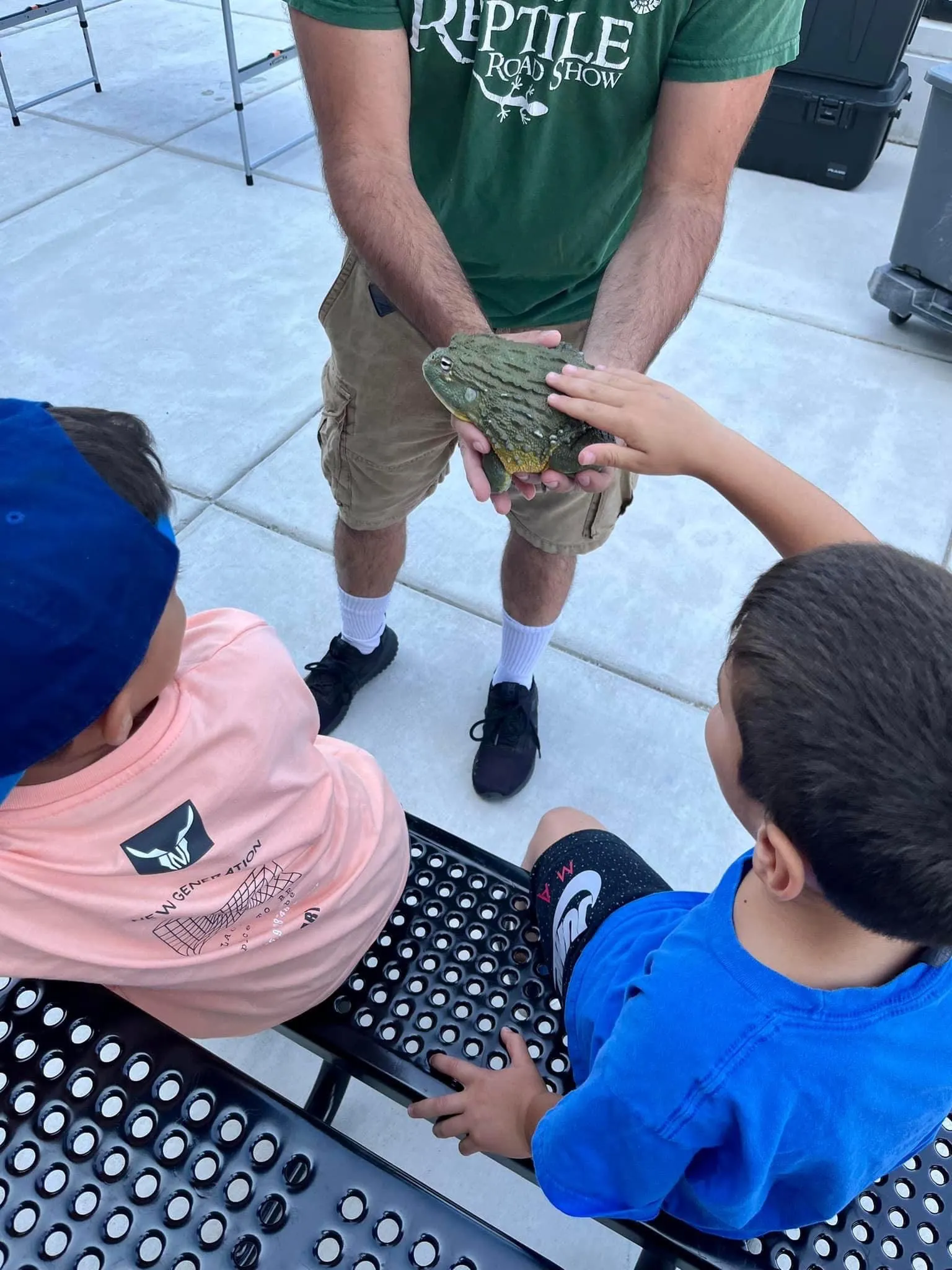 An engaged school audience watching the reptile education program